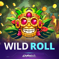Wild Spin Roll